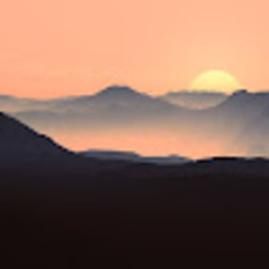 Meet your Posher, Alivia